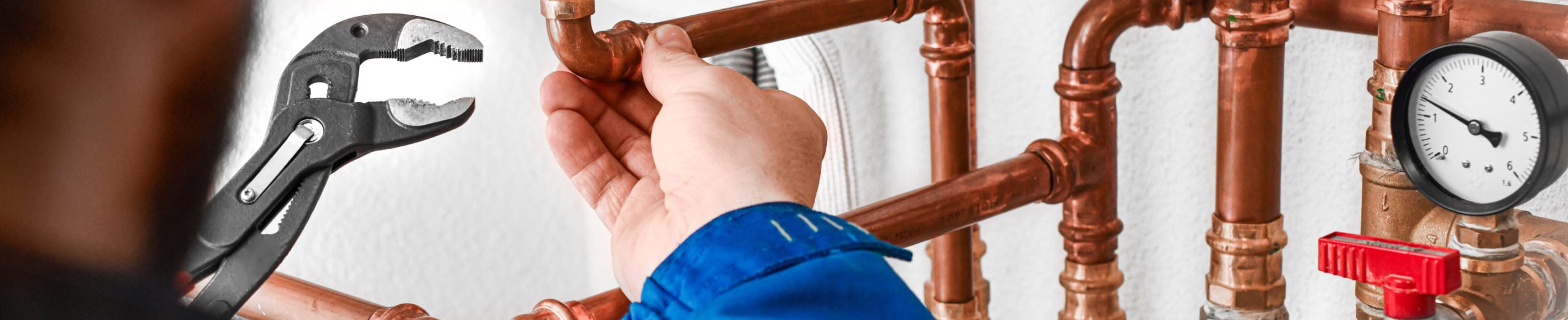 AdobeStock_7430049g91 1