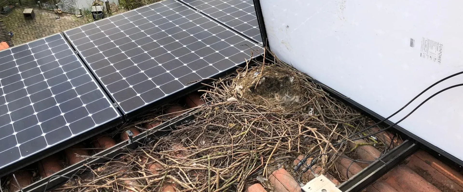 zonnepanelen vogelwering